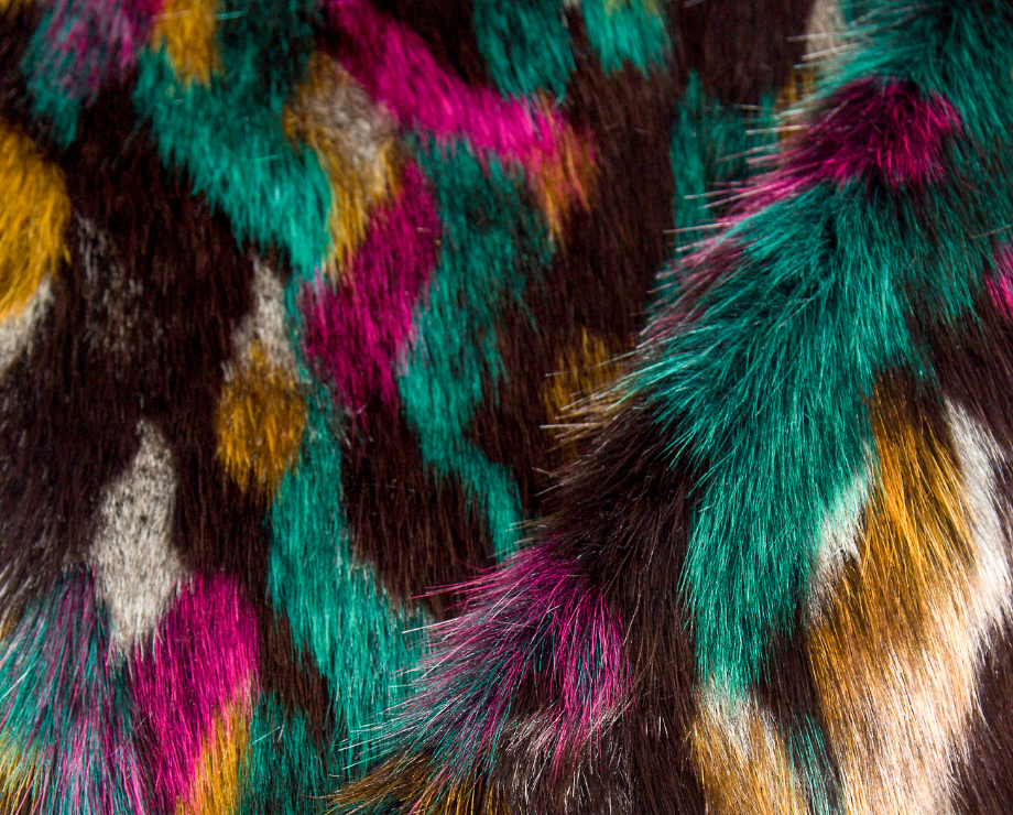 Colorful Fox